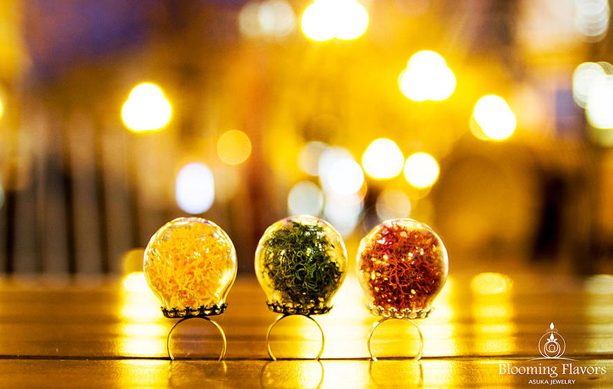 nature-scape-terrarium-ring-blooming-flavors-7 nature-scape-terrarium-ring-blooming-flavors-7