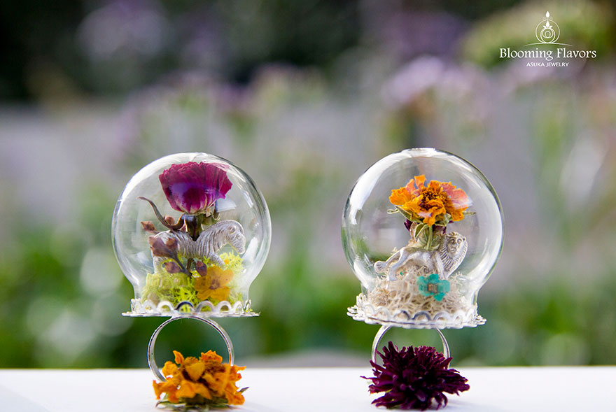 nature-scape-terrarium-ring-blooming-flavors nature-scape-terrarium-ring-blooming-flavors