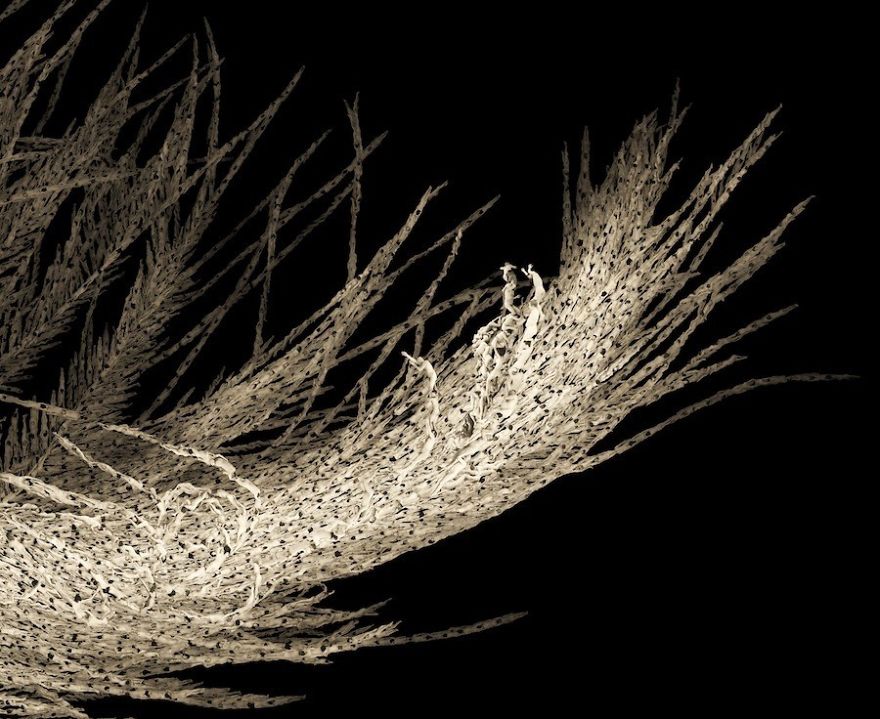 Artist Crafts Delicate Feathers Made From Thousands Of Interwoven Nude Bodies Artist Crafts Delicate Feathers Made From Thousands Of Interwoven Nude Bodies