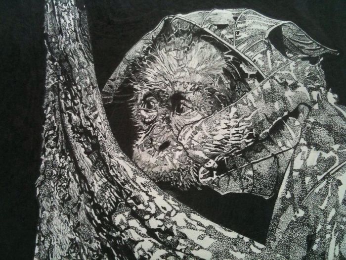 My Artworks Inspired By Nature