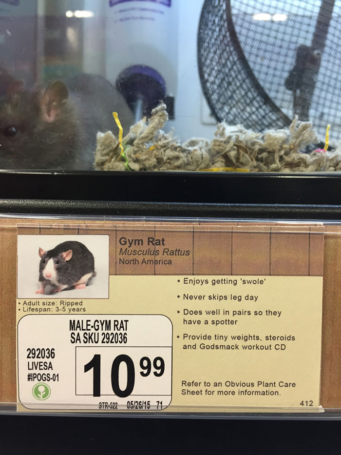 pet-shop-fake-name-prank-obvious-plant-jeff-wysaski-2