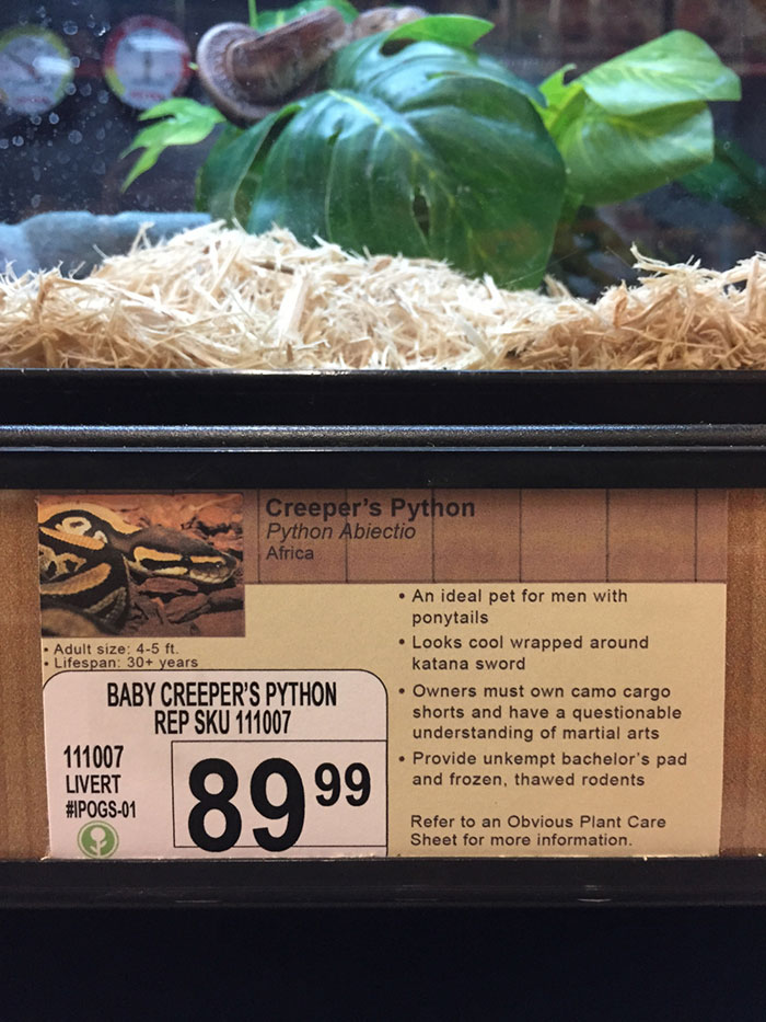 pet-shop-fake-name-prank-obvious-plant-jeff-wysaski-4 pet-shop-fake-name-prank-obvious-plant-jeff-wysaski-4