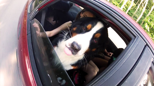 Pixel Cute Passanger ;)