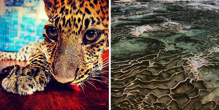 A State Of Awesomeness: My Collection Of Random Pictures From My Travels