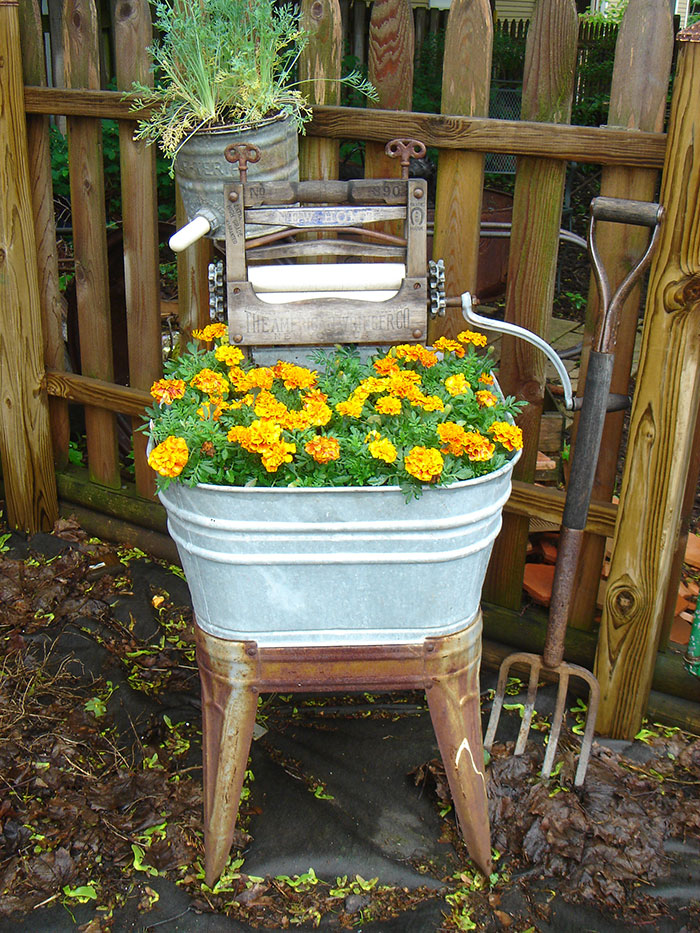 Wash Tub Garden