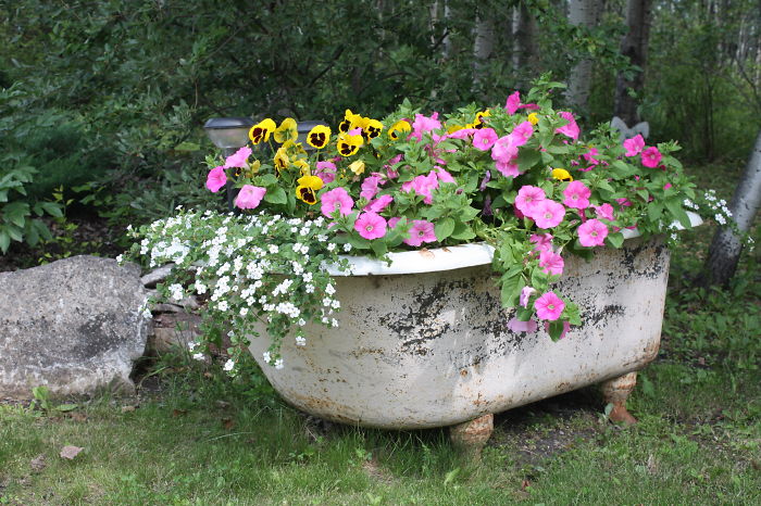 Tub Garden