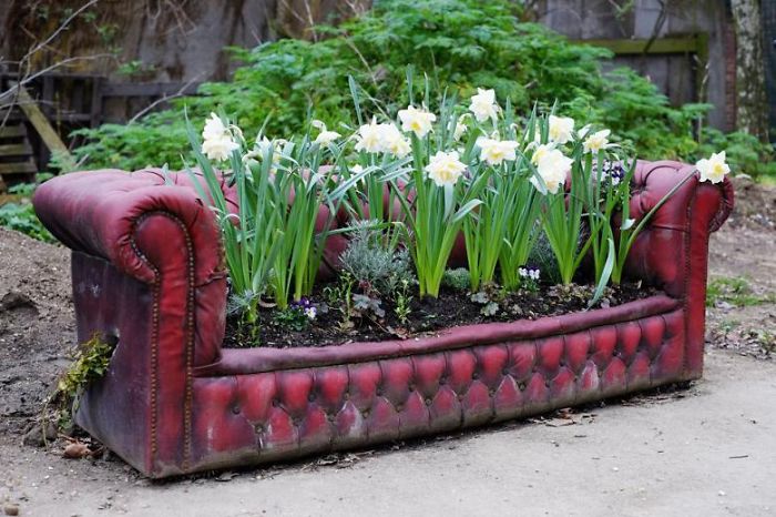 Sofa Garden