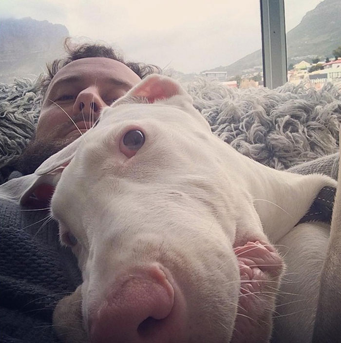 rescued-puppy-growing-up-dave-meinert-16 rescued-puppy-growing-up-dave-meinert-16