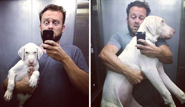 rescued-puppy-growing-up-dave-meinert-4