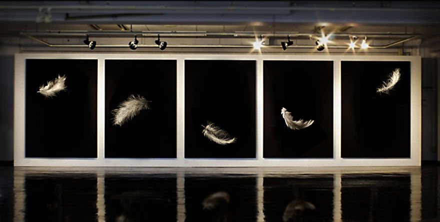 Artist Crafts Delicate Feathers Made From Thousands Of Interwoven Nude Bodies Artist Crafts Delicate Feathers Made From Thousands Of Interwoven Nude Bodies