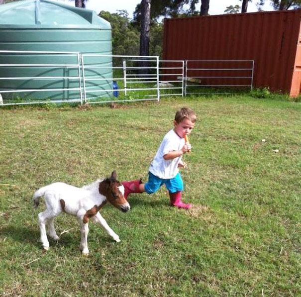 Child running on grass with a cute mini horse, wearing red boots, adding charm to a sunny outdoor scene.
