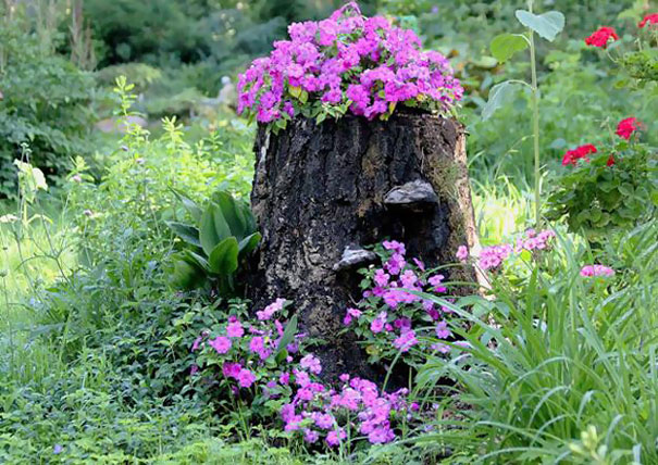 Tree Stump Garden