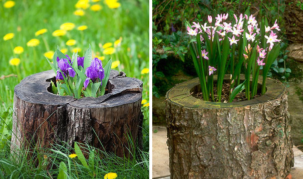 Tree Stump Garden