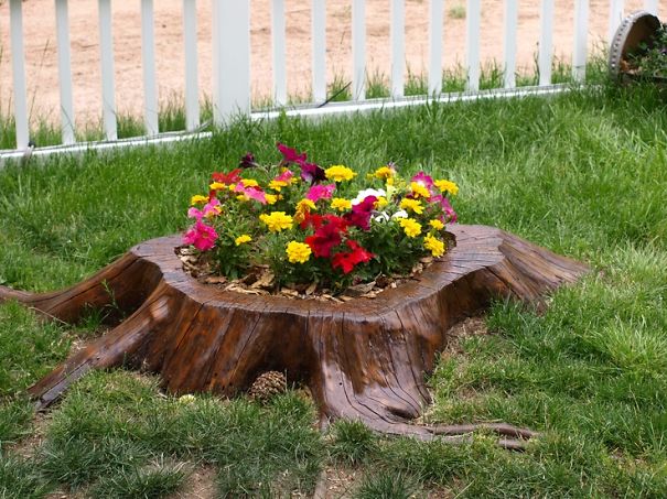 Tree Stump Garden