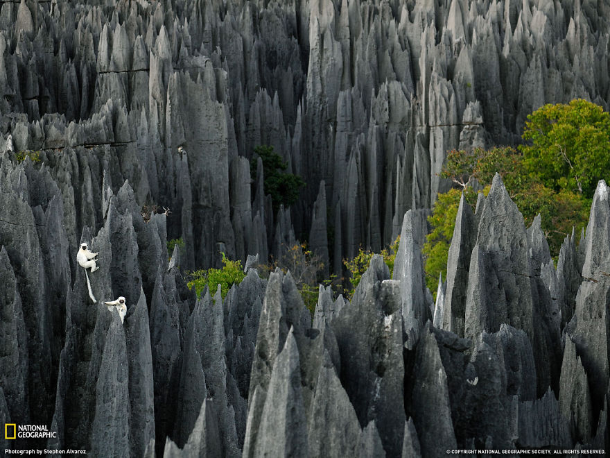 Tsingy De Bemaraha, Madagascar