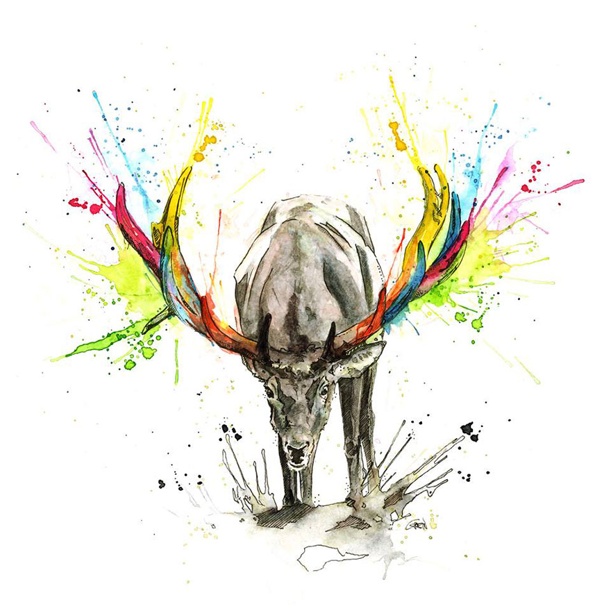 watercolor-animals-paintings-philipp-grein-2