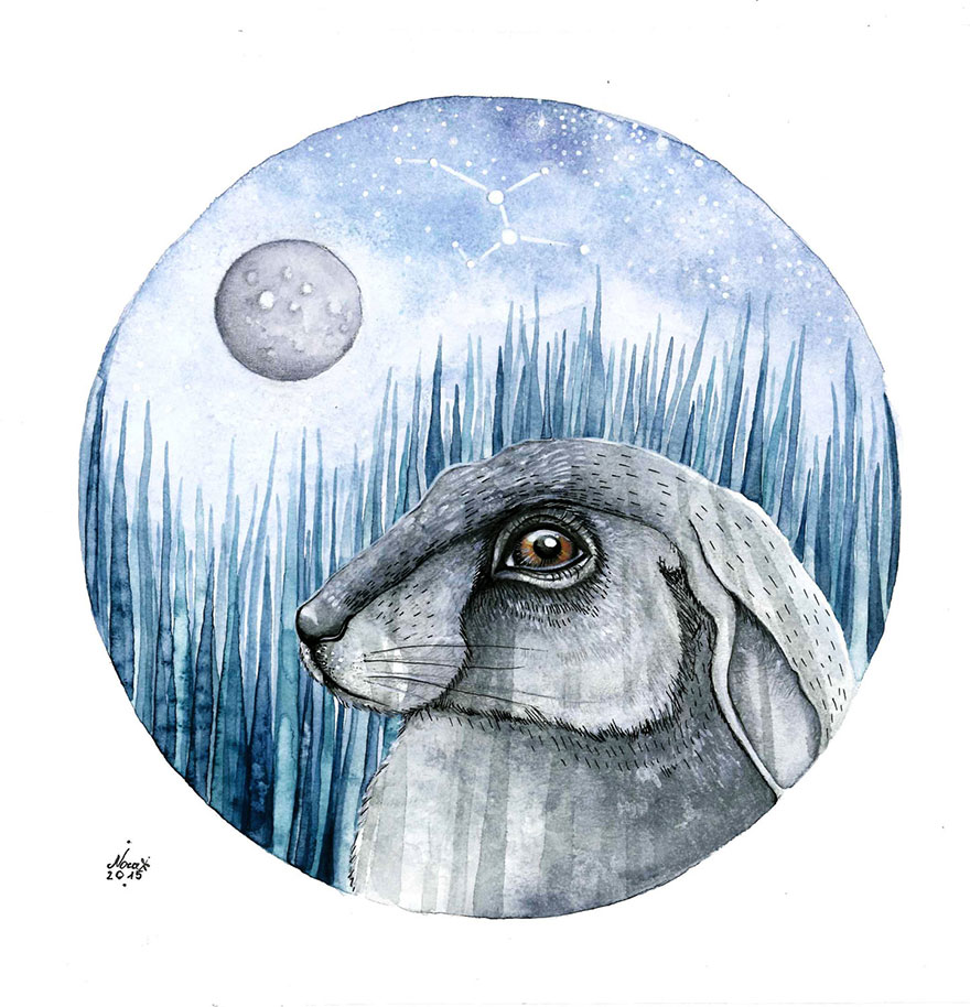 watercolor-painting-animals-illustrations-norvile-dovidonyte-7