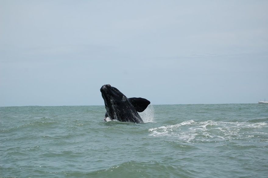 We Traveled In South America With A 2 Year Old