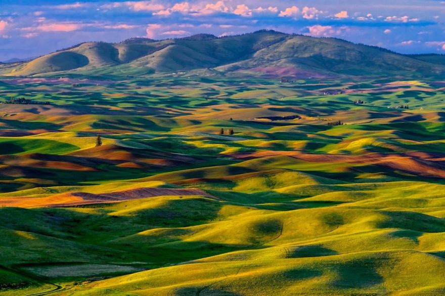 Palouse Valley, Washington, Usa.