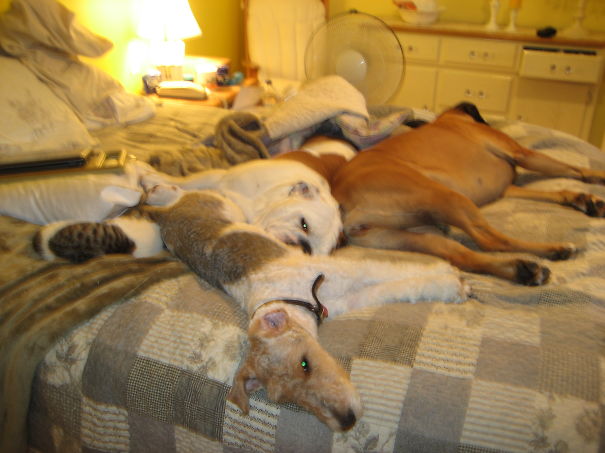 Not So Much To Say !!!!!!!! But Goodnight !!!!