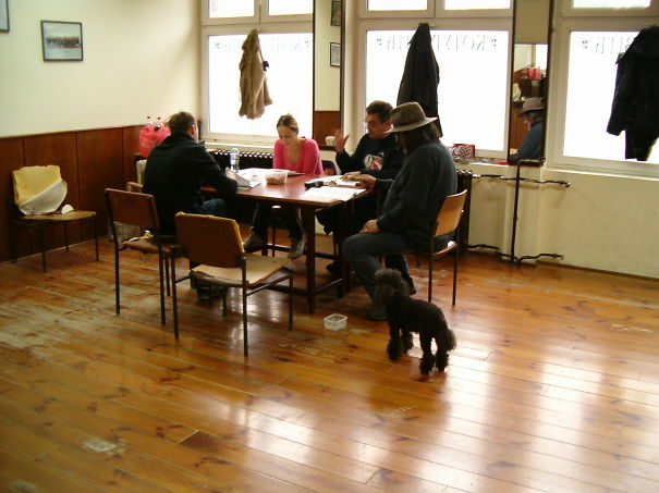 Director Slobodan Ž. Jovanović Often Took His Poodle To The Rehearsal With Actors