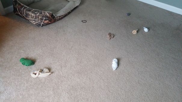 When We Go To Bed The Floor Is Clear... When We Wake Up...