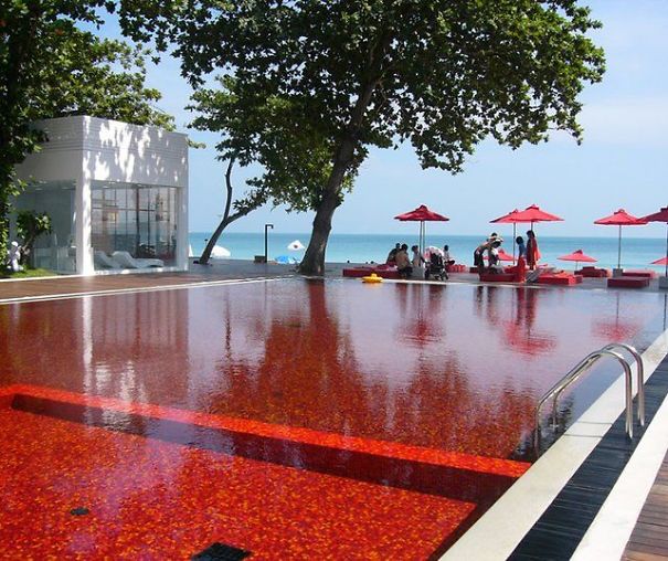 10 Craziest Swimming Pool Ever!! 10 Craziest Swimming Pool Ever!!