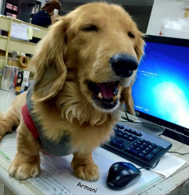 Can We Go Home Earlier Today Mum?