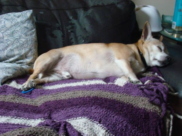 I Mean.. Duke Really Sleeps Alot