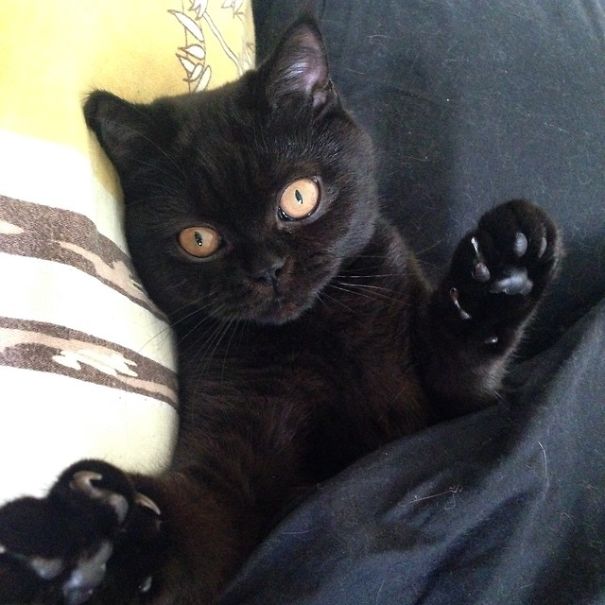 Go Away! I'm Sleeping