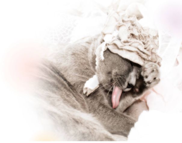 You Can't Replace Me.