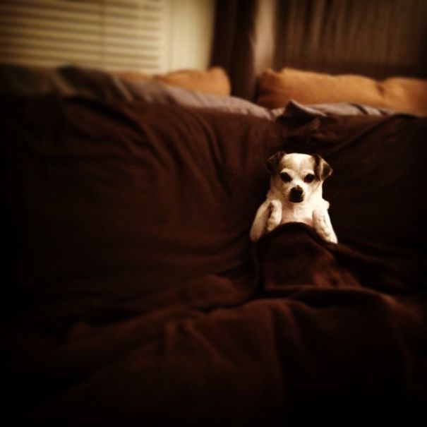 Chico's Ready For Bed.