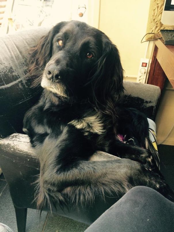 Sophie Is Having A Conversation