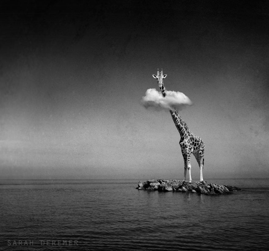I Create Surreal And Conceptual Black And White Scenes