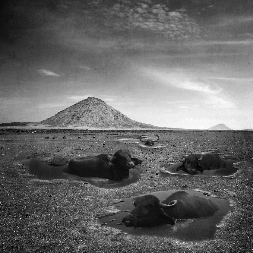 I Create Surreal And Conceptual Black And White Scenes