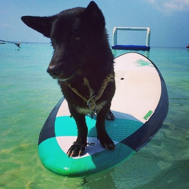 Working In The Tropics