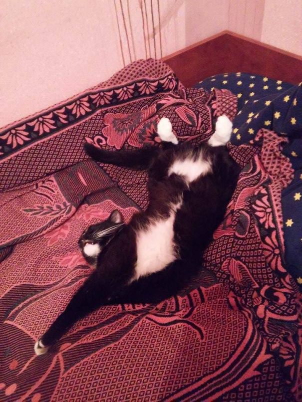 For Some Reasin He Likes Sleeping Alone