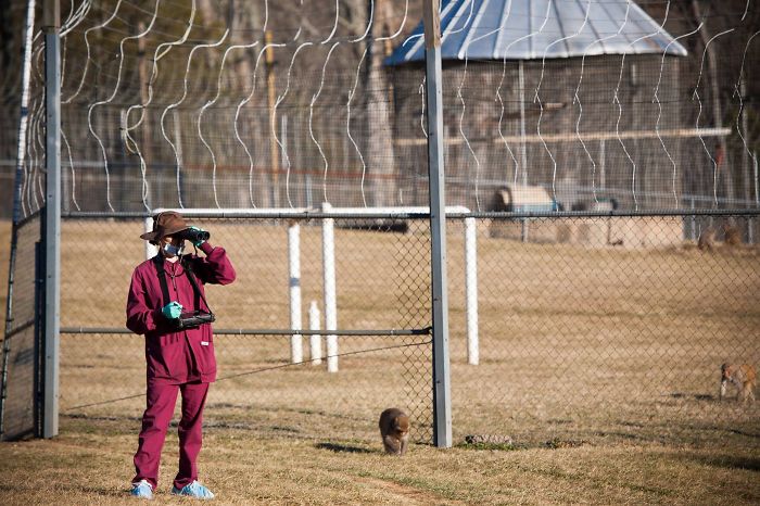 I Chose Primatology Because The Outfit I Get To Wear Every Day Is So Very #distractinglysexy.
