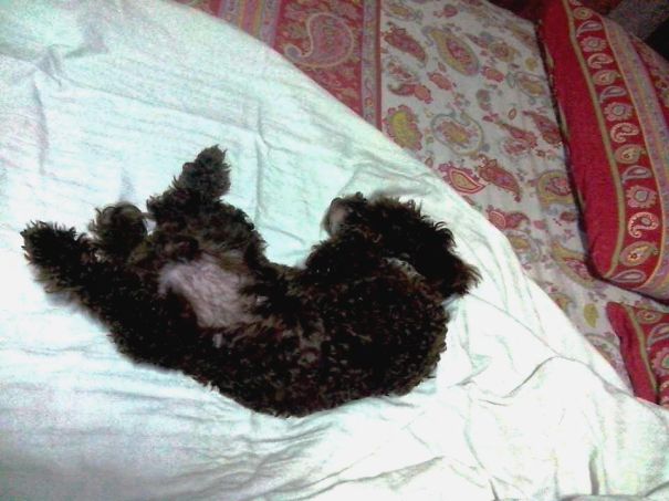 Need Some Fresh Air! :)