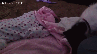 11 Reasons Why Dogs Are Awesome Maids