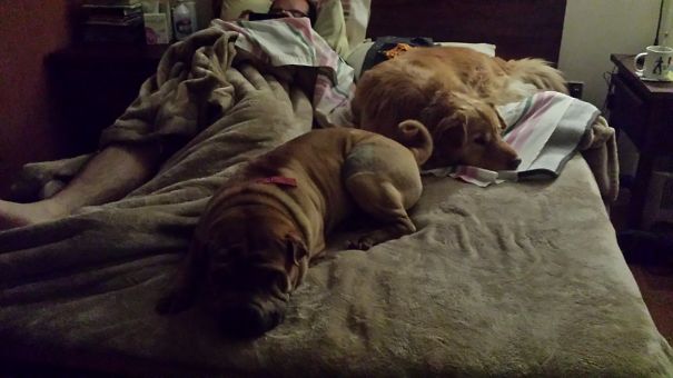 We Are Not Going Anywhere