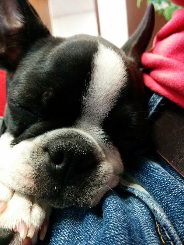 Lola's At Work Today