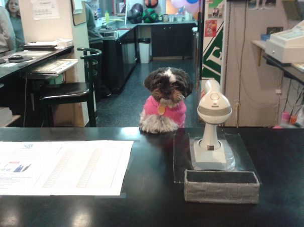 Working At The Ymca. "i Don't Always Work But When I Do I Am Awesome At It!"