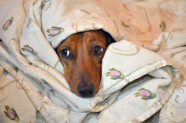 No Way I'm Getting Out Today