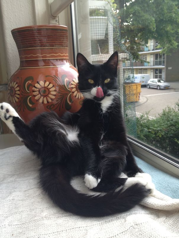 I'm Sexy And I Know It!