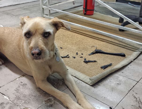 It Wasn't Me , For Sure!