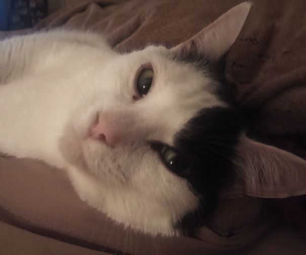 Can I Draw You Like One Of My French Girls? (his Name Really Is Jack)