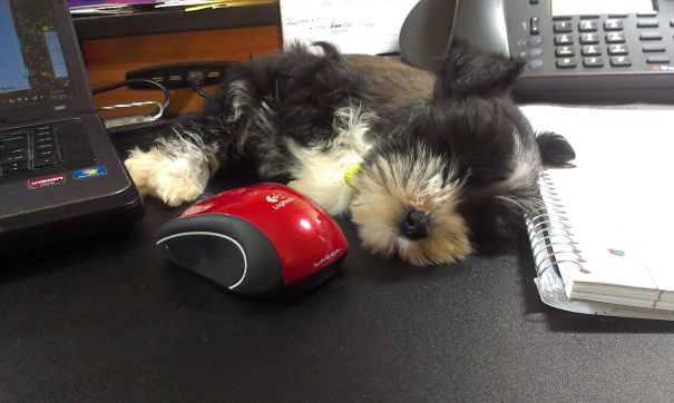 Zoe Had A Hard Day Today!