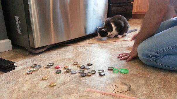 So That Is What That Noise Was...