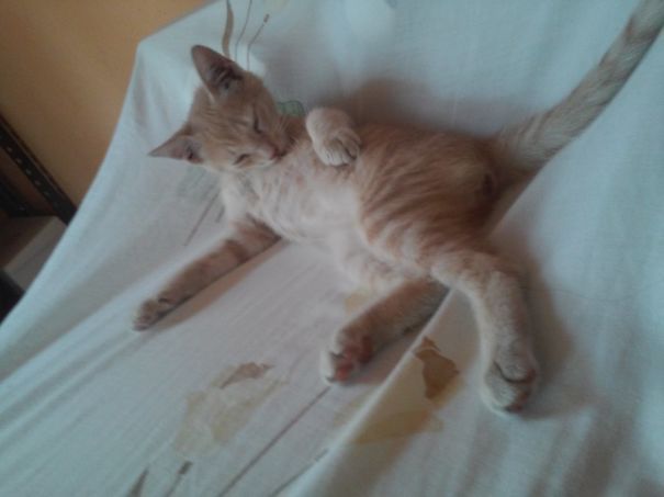 You Know You Want This